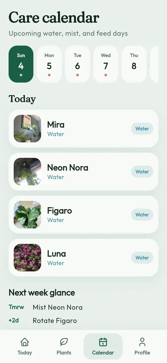 Bloom: the care calendar