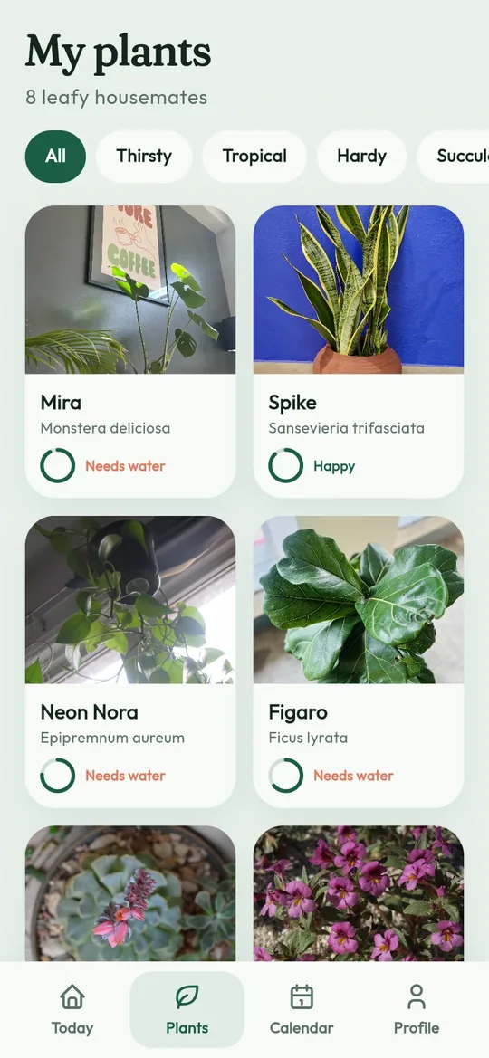 Bloom: the plant collection